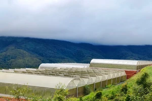 Kon Tum chấm dứt 5 dự án tại huyện Kon Plông