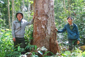 Gia Lai: 2 năm có đến 360 cán bộ, công chức, viên chức thôi việc