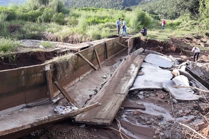 Gia Lai cấm 1 doanh nghiệp tham gia đấu thầu trong ba năm