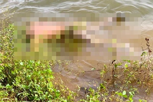 Phát hiện thi thể 2 mẹ con ở Biển Hồ Pleiku