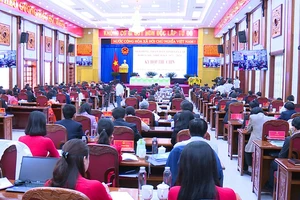 Bà Nguyễn Thị Thanh Lịch giữ chức Phó Bí thư Ban cán sự UBND tỉnh Gia Lai