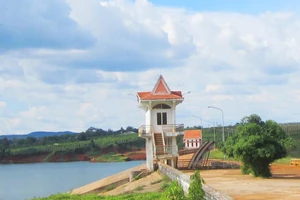 Gia Lai: Yêu cầu làm rõ trách nhiệm để mất vốn vay WB