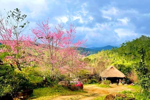 Điều bất ngờ khiến Măng Đen đón lượng khách 'khủng' dịp Tết 