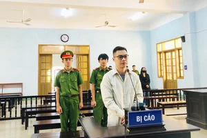 Cựu nhân viên ngân hàng lừa vay tiền lĩnh án