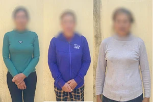 Bắt nhóm mua sổ hồng giả mang đi thế chấp