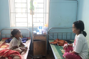 Ăn thịt cóc, 1 người chết 2 người nhập viện