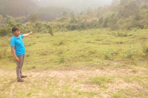 Chấm dứt hoạt động, thu hồi giấy phép thủy điện Đắk Psi 2