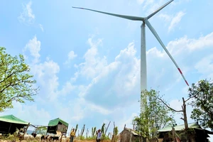 Hàng chục hộ dân khổ sở bên cạnh dự án điện gió chậm đền bù