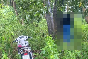 1 phụ nữ tử vong trong tư thế treo cổ ở rừng tràm