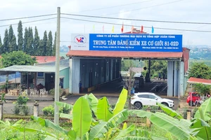 Bắt 2 người nguyên là Phó Giám đốc Trung tâm đăng kiểm tại Gia Lai