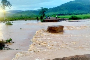 Giải cứu 4 nông dân trồng dưa hấu bị nước lũ cô lập giữa đêm