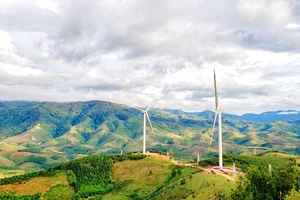 Đề nghị thanh tra toàn diện dự án điện gió Tân Tấn Nhật - Đăk Glei