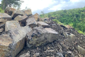Yêu cầu công an điều tra vụ khai thác đá trái phép ở rừng phòng hộ