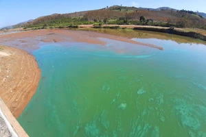 Nước hồ thủy điện Ia Ly có màu xanh lạ thường, hôi tanh