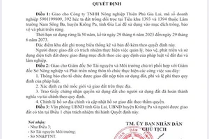 Đề nghị công an vào cuộc vụ giả quyết định của UBND tỉnh Gia Lai về cấp đất trồng rừng