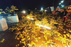 Gia Lai: Người bán hoa tết chấp nhận lỗ, xả hàng về đón giao thừa