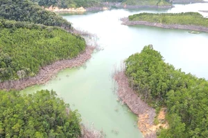 Kiểm điểm nhiều cán bộ vụ thủy điện Thượng Kon Tum tích nước làm chết 25 ha rừng