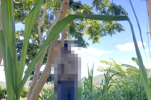 Mâu thuẫn gia đình, 1 phó chủ tịch xã treo cổ tự tử