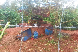 2 người bị điện giật tử vong khi đang đào giếng thuê ở Gia Lai