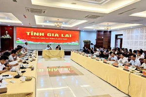 Gia Lai muốn chuyển đổi hơn 16.000 ha cao su chết, kém phát triển: Bộ trưởng NN&PTNT nói gì?