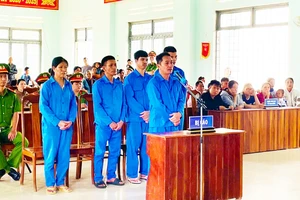 5 bị cáo vụ 'phá rừng nhưng báo cáo chỉ dọn thực bì' ở Kon Tum lãnh án