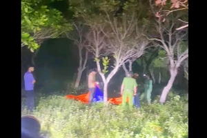 Phát hiện thi thể một phụ nữ bị giấu trong vườn điều