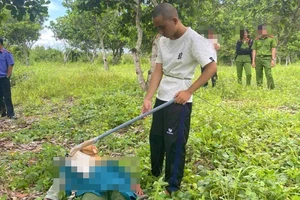 Khởi tố người con sát hại mẹ ruột rồi bán bò lấy tiền nạp game