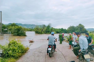 Hơn 300 hộ dân ở Gia Lai bị cô lập do mưa lớn