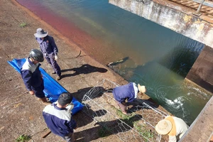 Gia Lai: Thủy lợi Ia Ring xuất hiện lỗ thủng xuyên thân đập