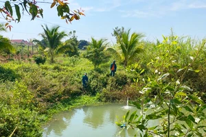 Gia Lai: 2 cháu nhỏ mất tích 2 ngày, mẹ tưởng con theo bố lên rẫy