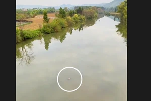 Vụ hai cháu nhỏ mất tích ở Gia Lai: Tìm thấy 1 thi thể nạn nhân trên sông Ba