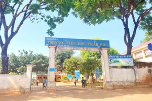 Xem xét trách nhiệm hiệu trưởng buộc thôi việc nữ kế toán sai quy định