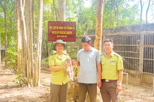 Bàn giao khỉ đuôi dài quý hiếm cho Vườn Quốc gia Chư Mom Ray 