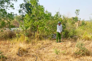 Kon Tum đề nghị điều tra hàng loạt vụ cắt dây điện chiếu sáng 