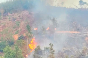 Đốt dọn thực bì làm nương rẫy gây cháy rừng tự nhiên ở Gia Lai