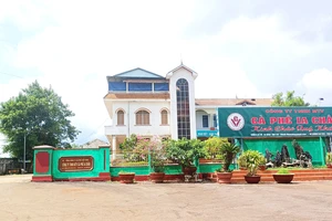 1 giám đốc thuộc Tổng Công ty Cà phê Việt Nam bị cách hết chức vụ trong Đảng