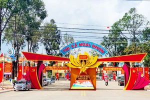 Tỉnh Bình Định giao UBND cấp huyện lập phương án bố trí tài sản khi sắp xếp