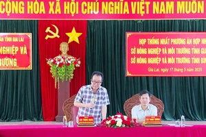 Gia Lai và Bình Định: Hợp nhất 2 Sở Nông nghiệp và Môi trường, giảm 19 đầu mối