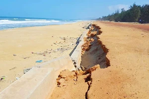 Bình Định: Chấm dứt dự án kè chống xói lở bị sóng biển đánh vỡ