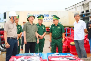 Phạt 10 thuyền trưởng tàu cá ở Bình Định vi phạm lĩnh vực thủy sản