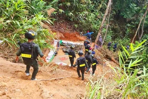 Công an tỉnh Gia Lai huy động 50 chiến sĩ đột kích bãi khai thác vàng