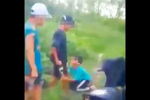 Bình Định: Xác minh trường hợp 1 nam sinh quỳ gối van xin nhưng vẫn bị đánh hội đồng
