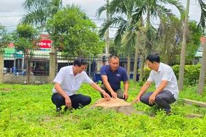 Thêm 1 xã ở Gia Lai cưa hạ, bán cây xanh trong khuôn viên trụ sở