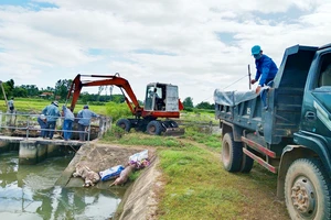 Chủ tịch xã gửi thư xin lỗi dân vì tình trạng vứt xác heo bừa bãi gây ô nhiễm