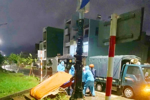 Gia Lai: Trục vớt heo chết do bệnh dịch bị vứt xuống kè Hội Phú