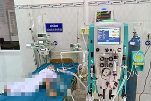  3 trẻ bị ong vò vẽ đốt phải nhập viện, 1 trẻ tử vong