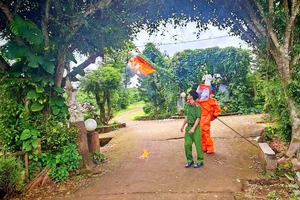 Phá bỏ tổ ong vò vẽ đốt 3 trẻ thương vong 