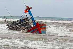 Gia Lai: Tàu cá có 11 thuyền viên bị tàu chở dầu nước ngoài tông chìm, thuyền trưởng mất tích