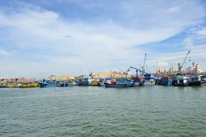 1 thuyền trưởng câu cá ngừ đại dương tử vong trên biển nghi do đột quỵ