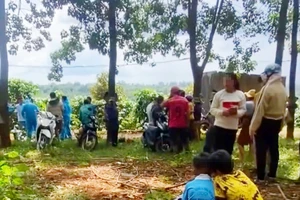 Nam thanh niên xin đi nhờ xe rồi sát hại nạn nhân, cướp tài sản